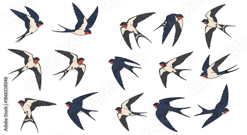 Large collection of swallow bird illustrations shows various flight angles and wing spans for use in nature themed design projects.