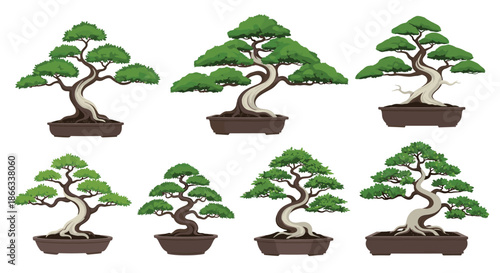 Beautiful collection of Japanese bonsai trees in various styles and shapes planted in traditional ceramic pots on a white background.