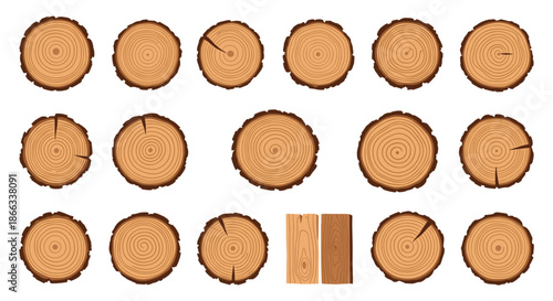 Detailed illustration of wood log cross sections displays different tree ring patterns and textures for nature themed designs.