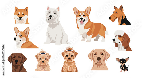 Detailed set of various dog breed portraits includes the shiba inu westie corgi beagle labrador and chihuahua among others.