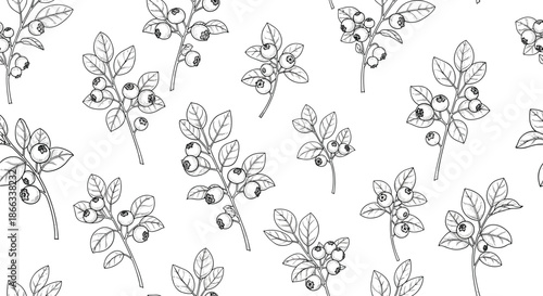 Detailed line art seamless pattern of blueberry branches with leaves and berries in a vintage botanical sketch style.