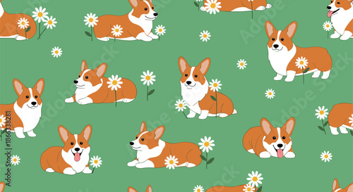 Seamless pattern of cute corgi dogs in various poses like sitting and lying down among white daisy flowers on green.