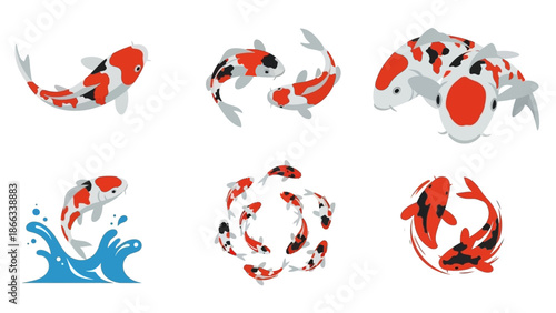 Colorful Koi Fish Collection: Swimming, Jumping, and Swirling