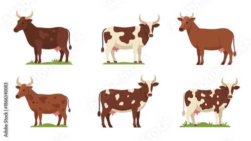 Set of Six Diverse Cattle Breeds Illustration, Farm Animals Collection