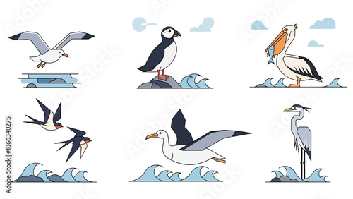 Seabirds Collection: Flying Seagull, Puffin, Pelican, Swallows, Albatross, Heron