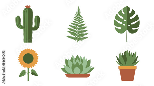 Set of Flat Design Tropical Plants and Succulents