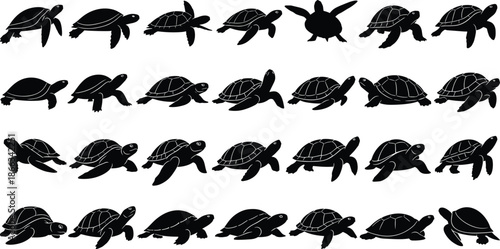 Turtle, Sea, Marine, Reptile, Ocean, Silhouette, Aquatic, Wildlife, Nature, Animal, Vector, Illustration, Black, Collection, Swimming, Shell, Fauna, Tropical, Conservation, Underwater