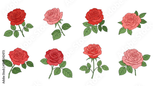 A pattern of red and pink roses with green leaves on a white background viewed from directly above.
