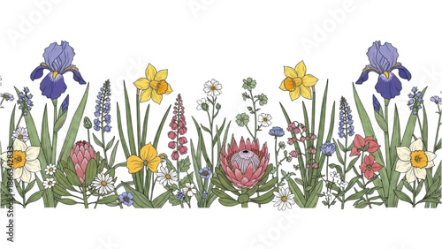 Colorful illustration of various flowers and plants in a lush garden scene from a frontal viewpoint
