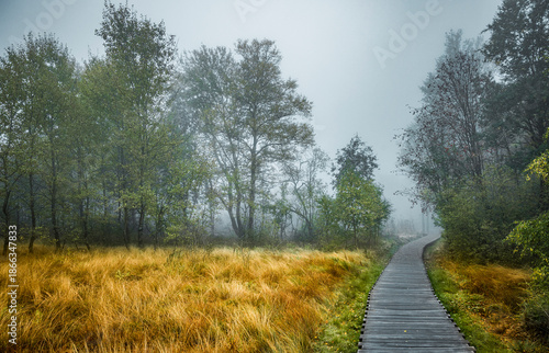 Nebelstimmung im Schwarzem Moor in der Bayrischen Rhön