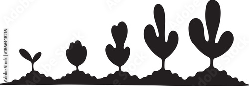 Cactus growth stages in desert landscape silhouette