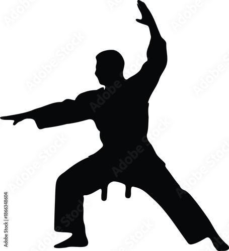 Silhouette of a person performing a dynamic yoga pose with arms extended