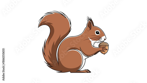 A cute red squirrel is holding and eating an acorn.