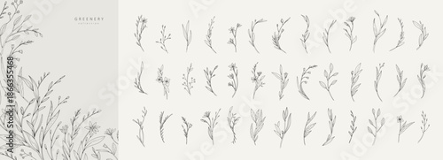 Delicate botanical minimalistic branches with flowers and leaves. Set of floral design elements. Vector illustration for invitation, save the date card