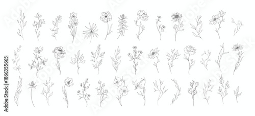 Set of detailed various flowers and branch with editable stroke. Hand drawn vector illustration, botanical elements for invitation, save the date