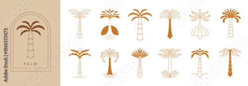 Set of simple geometric palm tree icon or logo designs. Summer tropical design elements and vacation emblems for resort, travel and beauty