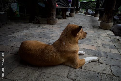  Waiting for the Return（盼归）