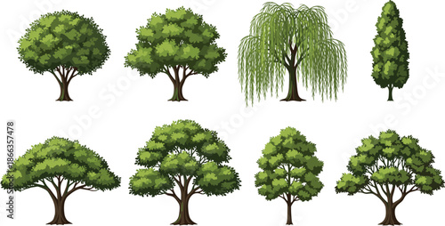 Set of various green deciduous tree vector illustrations, flat botanical icons isolated on white background, summer nature landscape design elements