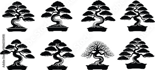 Bonsai tree silhouette collection, artistic foliage shapes, seasonal branch styles, black white vector set, cad drawing flat vector illustration