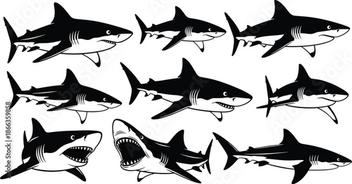 Cartoon shark illustration set, black white stylized marine predator poses, expressive teeth fins gills, cad drawing flat vector