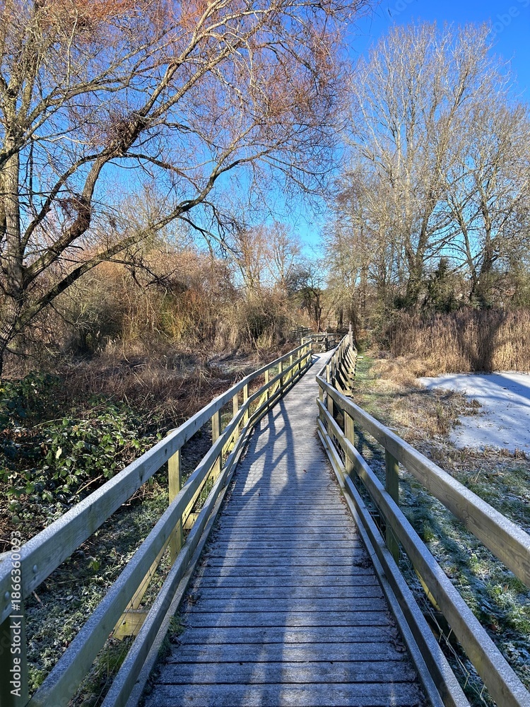 Fototapeta premium Frosty board walk on a winters day