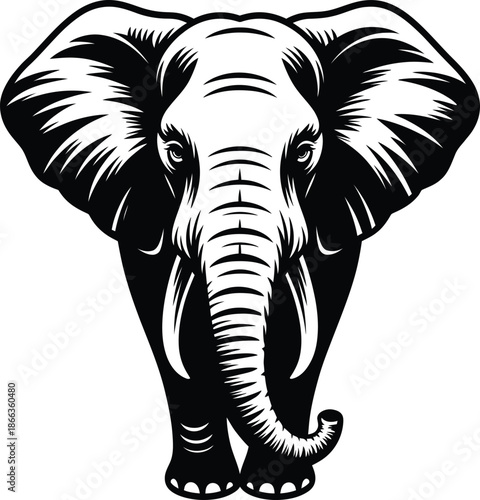 Majestic elephant head in bold black and white illustration