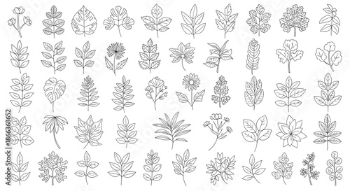 Large grid set of various leaf and plant outlines in a minimal black and white line art style on a plain white background.