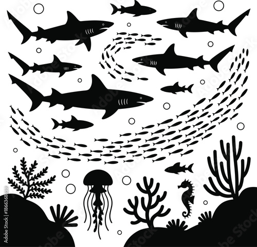 Black and white of sharks and sea creatures underwater