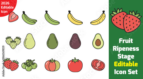  Fruit ripeness stage line icons showing unripe to ripe progression, clean outline vector, white background.