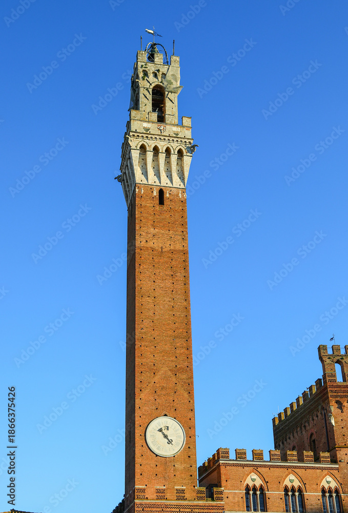 Obraz premium town hall called palazzo pubblico and tower siena itay