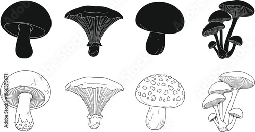 Set of hand drawn mushroom icons and silhouettes, botanical fungi collection for nature design, forest foraging sketch, organic autumn elements