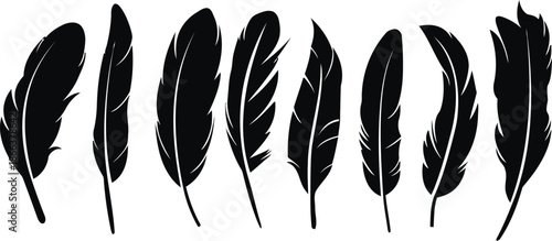 Set of black feather silhouettes isolated on transparent background