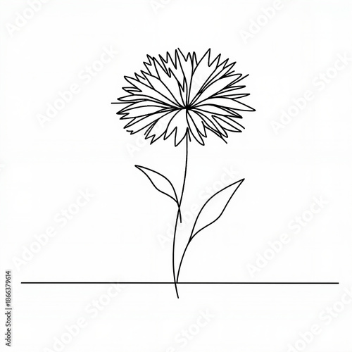 Wallpaper Mural Line drawing of a flowering plant on a minimalistic background   Torontodigital.ca