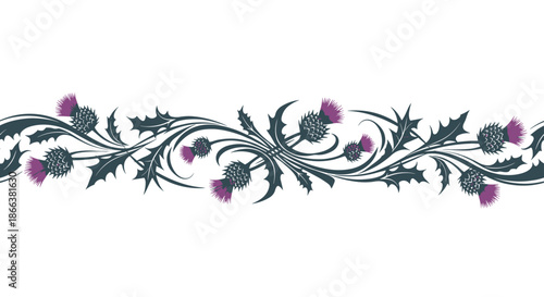 Elegant seamless border design featuring a traditional Scottish thistle pattern with intricate, swirling leaves on a white background.