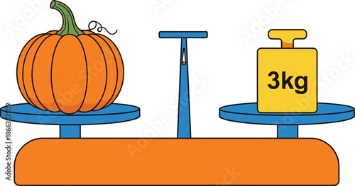Pumpkin weighing on balance scale with kilogram weight comparison isolated on white background educational vector illustration