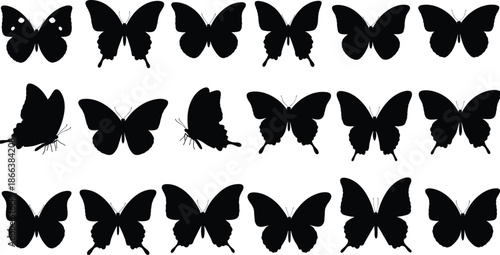 Butterfly silhouette illustration set, diverse wing shapes, black vector icons, insect anatomy design, entomology reference, nature art