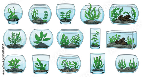 Comprehensive collection of various glass fishbowls and rectangular aquariums filled with different types of green aquatic plants and rocks.