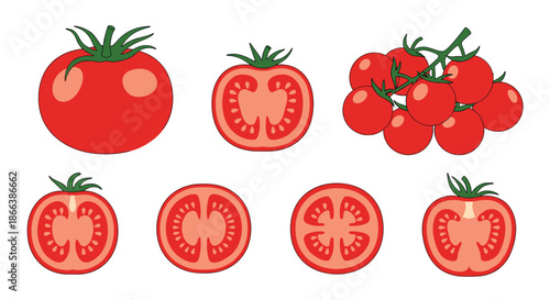 Comprehensive collection of red tomatoes including whole fruit half slices cross sections and a cluster of cherry tomatoes on a green vine.