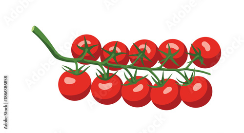 Horizontal branch of ripe red cherry tomatoes still attached to the green vine with small leaves showcasing freshness and natural quality.