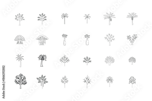 Minimalist tropical tree collection line art vector illustrations