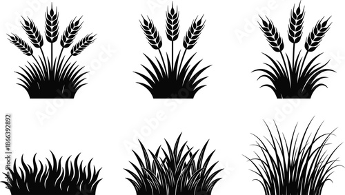 Wheat and grass silhouette icon set, minimalist agricultural plant symbols, black botanical collection isolated on white
