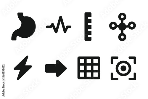 Avian Internal Analysis Icons. Solid style icons of avian internal analysis: bird stomach, pulse line, measurement marker, data