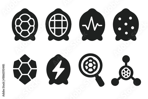 Turtle Scale Computations. Solid style icons of turtle scale computations: shell outline, numeric grid, pulse line, measurement