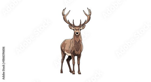 Detailed illustration of a majestic deer with large antlers standing and looking forward on a clean white background.