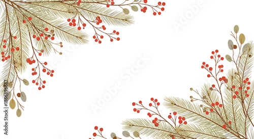 Elegant frame border made of pine tree branches and red holly berries on a clean white background for holidays.