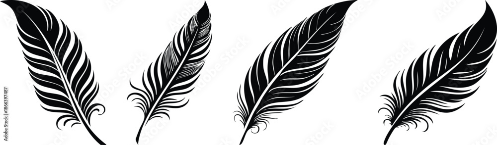 Obraz premium Decorative feather plume detailed bold black line art writing ornament illustration