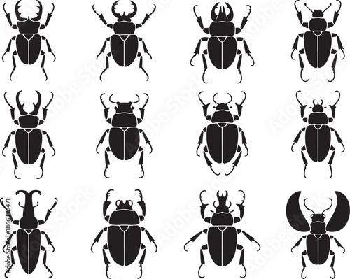 Beetle and Insect Entomology Silhouette Collection