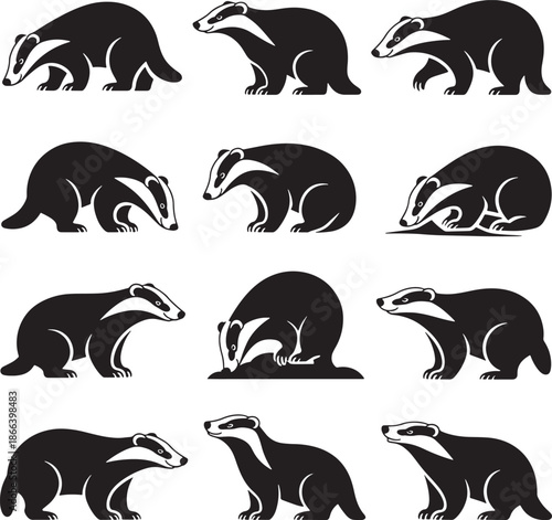 Badger Animal Silhouette Poses Collection