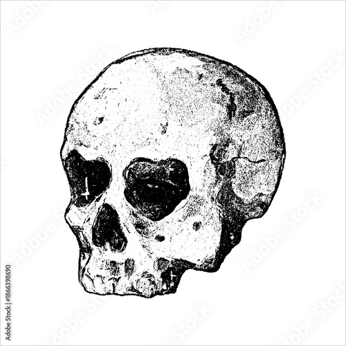Vintage Grungy Human Skull Sketch Illustration