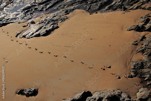 Empreintes sur la plage